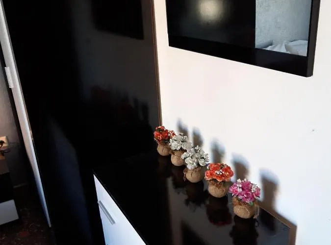 Zanet Bed and breakfast 3*